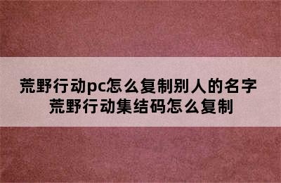 荒野行动pc怎么复制别人的名字 荒野行动集结码怎么复制